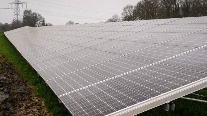 Pure Energie loopt te hard van stapel met zonnepark in Wierden; informatiebijeenkomst uitgesteld
