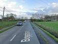 De Bosstraat in Drongen is een lange, rechte weg dwars door de Vinderhoutse Bossen.