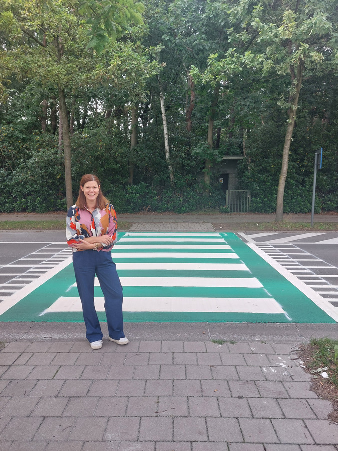 Zeven extra ‘groene zebra’s’ verschijnen in Brasschaat: “Zorgt voor ...