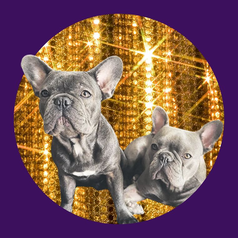null Beeld Instagram.com/totoandrocco_fromgordon