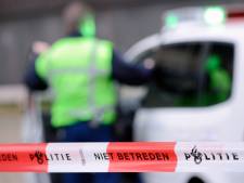 Automobilist was mogelijk al dood toen politie hem aanreed: ‘Hij raakte eerst een boom’
