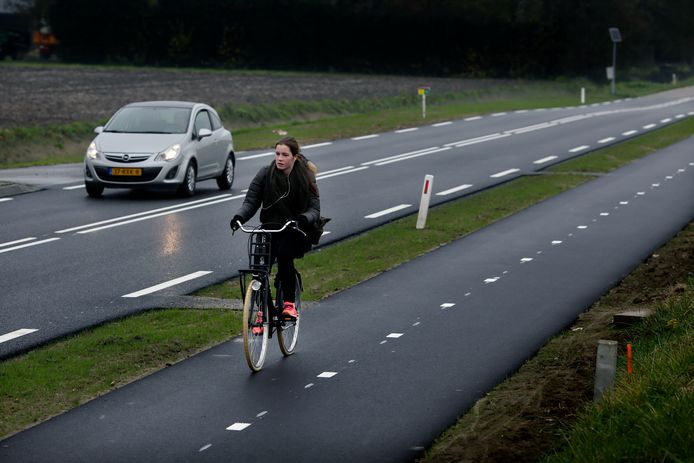 Fietspad langs de N217 tussen Oud-Beijerland en Nieuw-Beijerland. Foto ter illustratie.