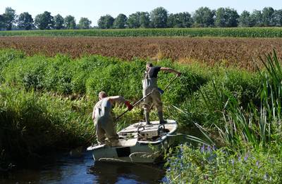 Jelmer uit Oploo slaat alarm: Oploosche Molenbeek staat bijna droog
