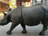Grote neushoorn struint onverstoorbaar door Nepalese stad