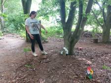 Poepvandalen slaan weer toe in kabouterbos na 7th Sunday Festival; oprichters Eline en Hedwig zijn boos en gefrustreerd