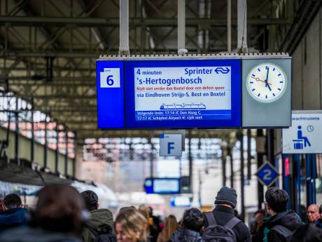 Week lang geen treinen tussen Den Bosch en Boxtel door gravende dassen, en mogelijk zelfs langer