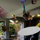 Als je niet naar Spinvis kunt, dan speelt Spinvis wel een concertje in augmented reality op je telefoon