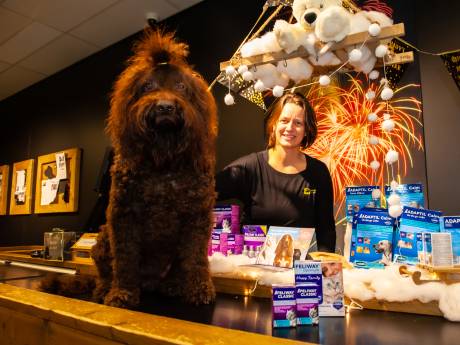 Is jouw hond of kat doodsbang voor vuurwerk? Zo help je huisdieren door de jaarwisseling heen!