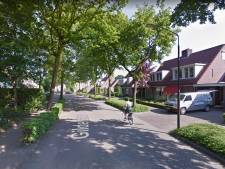 Fractie LEV wil opheldering over afgeblazen bomenkap in Hilvarenbeek, ‘Bewoners op verkeerde been gezet’