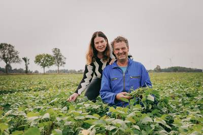 De supers nemen zijn boontjes niet af, dus mag iedereen zaterdag onbeperkt plukken bij bioboer Joop