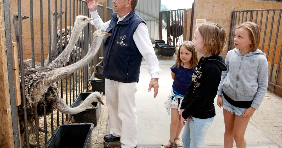 Conservator, rasverteller en grappenmaker Herman Bakker overleden