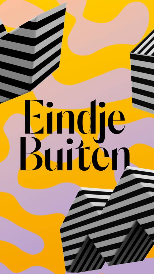Poster van Eindje Buiten in Eindhoven.