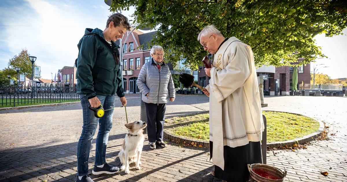 Dieren gezegend in Ootmarsum en Denekamp op Werelddierendag: 'Wees zorgzaam met uw huisdier' - Tuban