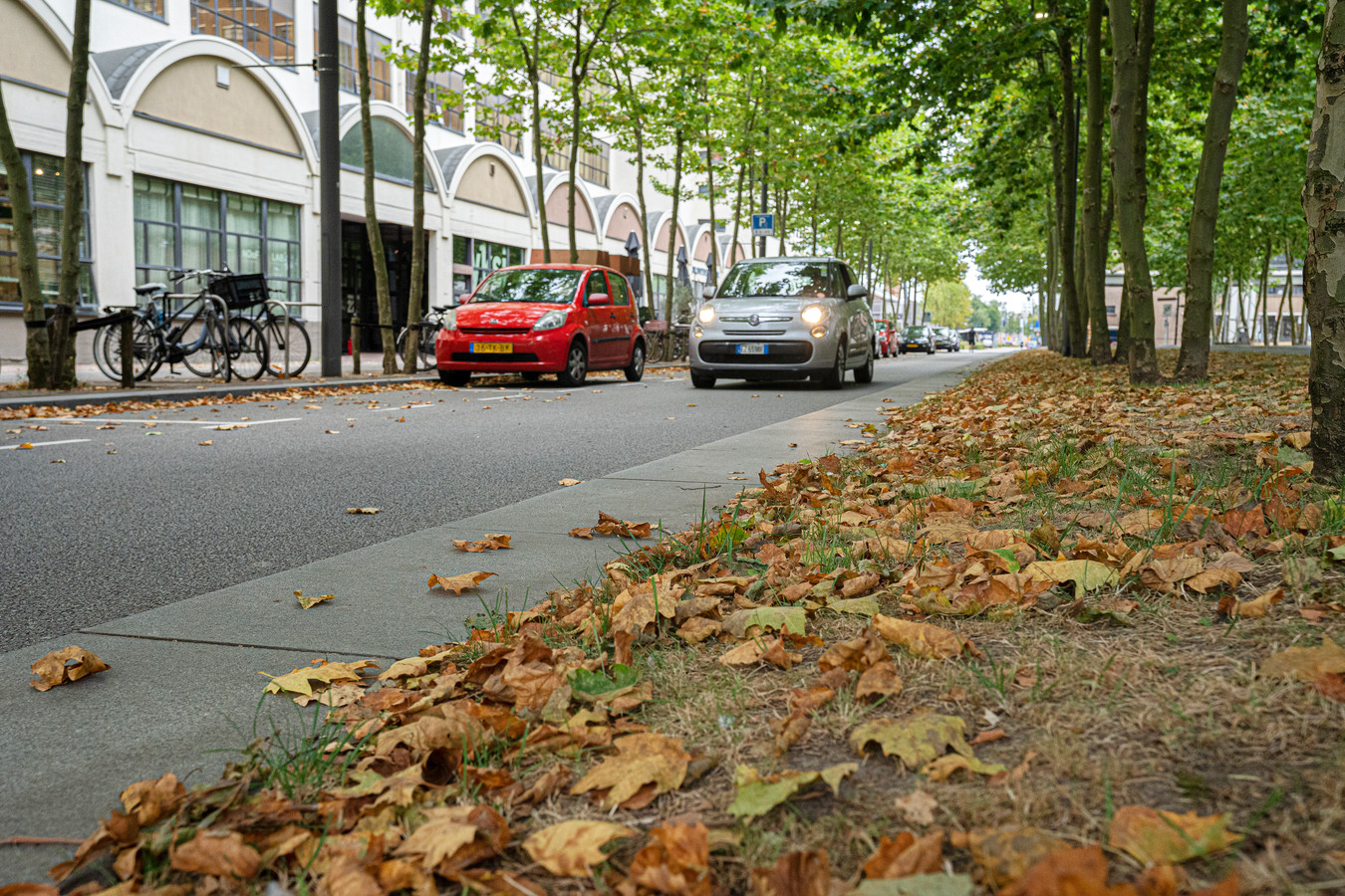 De zomer is nog geen maand bezig, maar nu al lijkt de herfst te zijn ingetreden, zoals op de Torenallee in Eindhoven.
