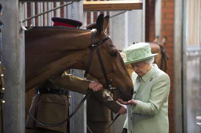 Favoriete paard van de Queen overleden op kerstavond: “In zijn beste jaren dekte hij tot 110 merries per jaar”
