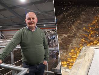 De Aardappelhoeve wil volledig onafhankelijk worden van leidingwater: “Investeren in systeem dat regenwater bacterievrij maakt”