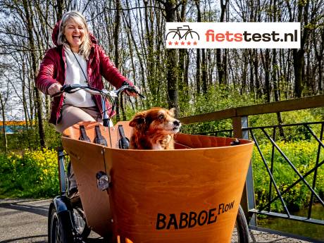Dit zijn de beste elektrische bakfietsen