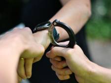 Sieraden, handtassen, geldtelmachine, telefoons en 28.000 euro gevonden: twee mannen aangehouden 