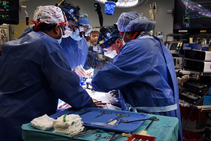 Artsen zijn bezig met de harttransplantatie van David Bennett.