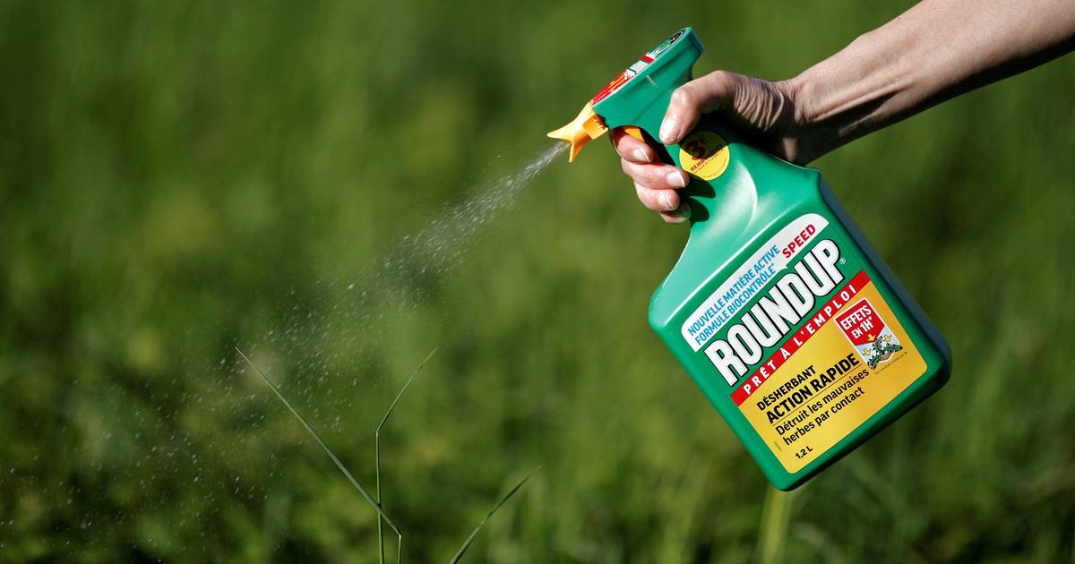 Monsanto has to pay more than 1.5 billion dollars because of cancer after using weed killer