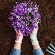 Geen groene vingers? Probeer dan lasagne gardening