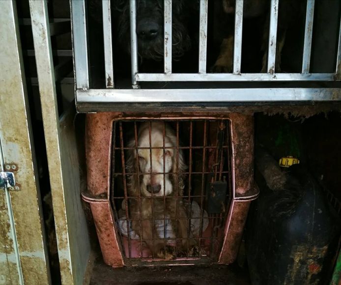 Politie Noord-Holland