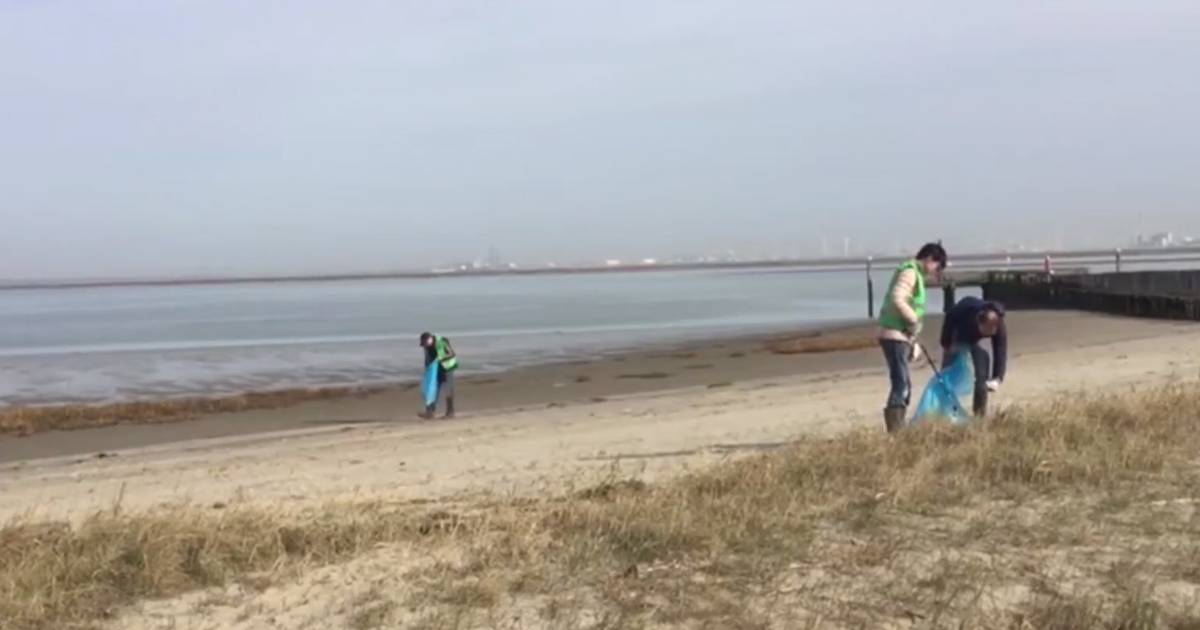 Eindelijk krijgt Hoofdplaat na 10 jaar een nieuw strand
