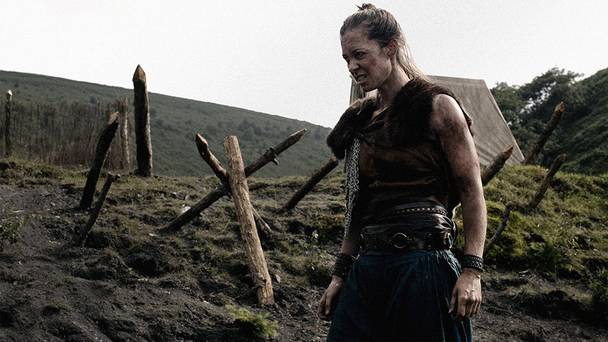The Lost Viking
