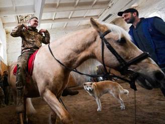 Oekraïense soldaten verminderen stress met paardentherapie