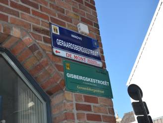 Eerste straatnaamborden in Ninoofs dialect sieren straten in stadscentrum
