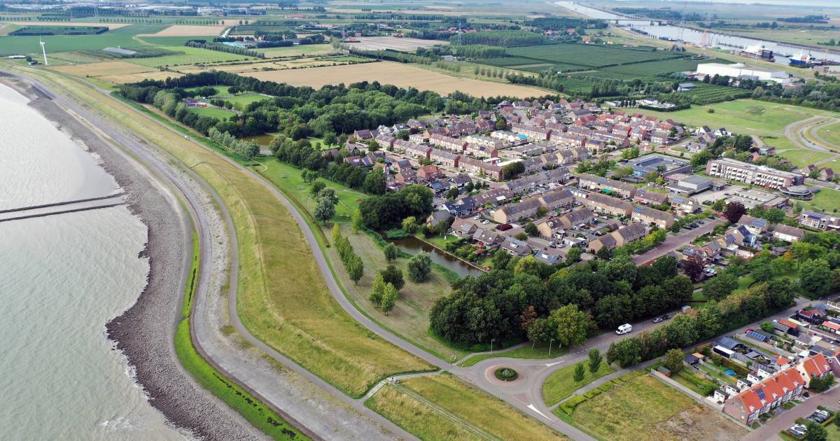 Kosten van hogere dijk Hansweert dreigen opnieuw op te lopen - Provinciale Zeeuwse Courant
