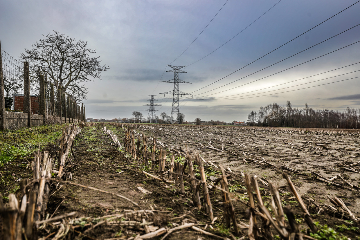 Een hoogspanningslijn in het West-Vlaamse Zedelgem. Beeld Benny Proot