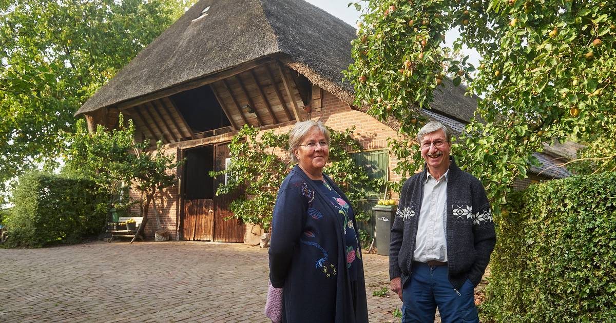 Jan en Annelies kochten een enorme bouwval die op instorten stond: 'Mensen versleten ons voor gek' -