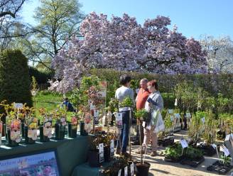 Lente plantenbeurs