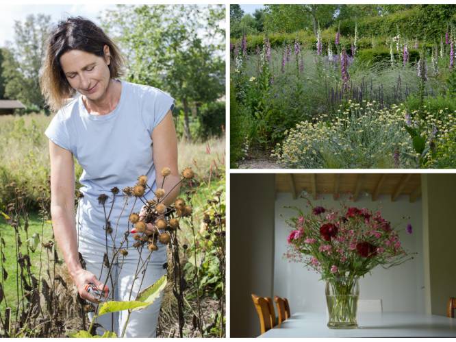 Tuinieren hoeft niet duur te zijn: de beste budgettips van tuinexperte Laurence Machiels
