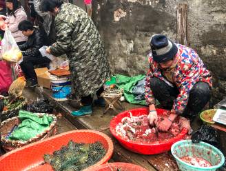 “Coronavirus niet afkomstig van markt in Wuhan”