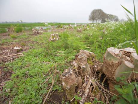 Grenzen van toekomstig natuurgebied bij Bodegraven-noord nu duidelijk, wat daar binnen komt nog niet