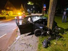 BMW botst gruwelijk tegen boom in woonwijk Elspeet: bestuurder zwaargewond