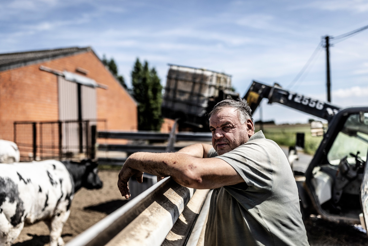 Landbouwer Luc Verscheure: ‘Geen stikstof meer, maar wel elektromagnetische straling boven onze kop.’ Beeld Franky Verdickt