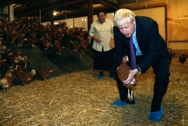 Premier Johnson op bezoek bij een boerderij in Wales.  Beeld AP