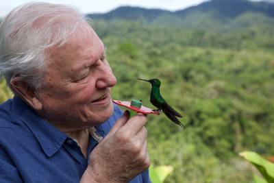 Britse kleuter met existentiële vraag krijgt handgeschreven antwoord van David Attenborough