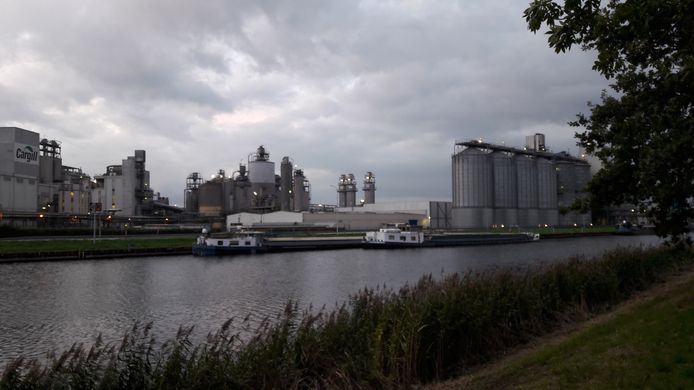 Cargill-vestiging aan de noordelijke entree van Sas van Gent.