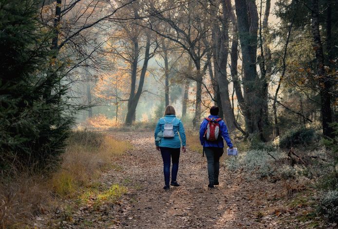 Wandelen op de Holterberg, met op de foto wandelaars Erna en Jacobine.