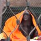 De chimpansees van Stichting AAP zijn dolblij met hun nieuwe dekens