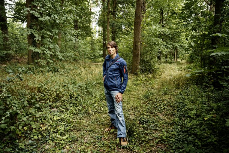 Joachim Mergeay van het Instituut voor Natuur- en Bosonderzoek gaat ervan uit dat de wolf bewust vergiftigd is. Beeld Eric de Mildt