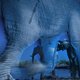 Blauwe olifanten winnen Wildlife Photographer of the Year 2013