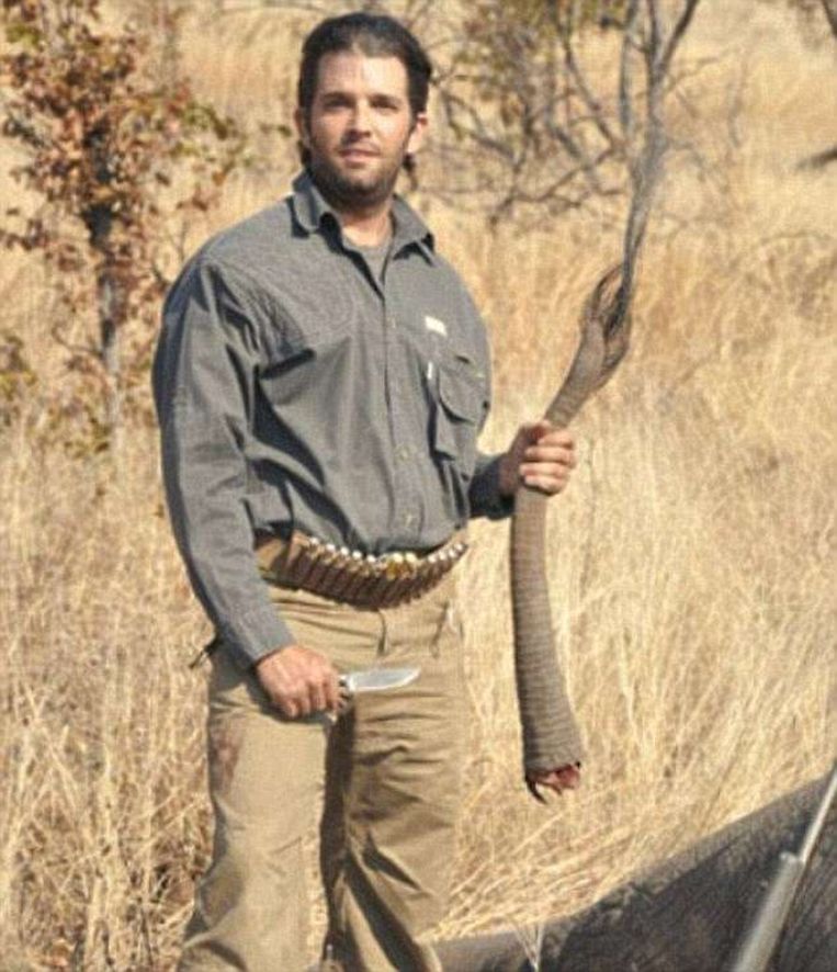 Donald Trump Jr poseert met de staart van een olifant die hij doodschoot. Beeld rv