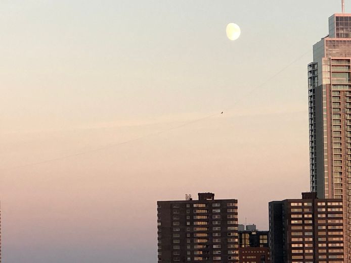 Een koorddanser beweegt zich op grote hoogte van Noord naar Zuid.