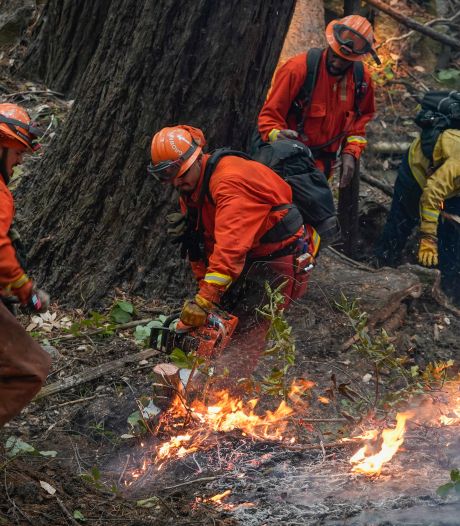 La Californie ravagée par le feu: “Nous n'avons rien vu de tel depuis des années”