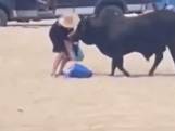 Toeriste wil niet weglopen van stier omdat ze haar strandspullen nog wil opruimen